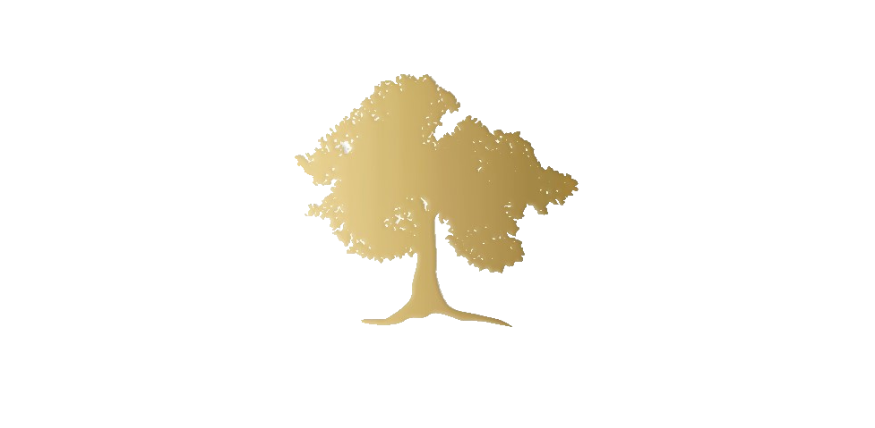Vineyard World Logo