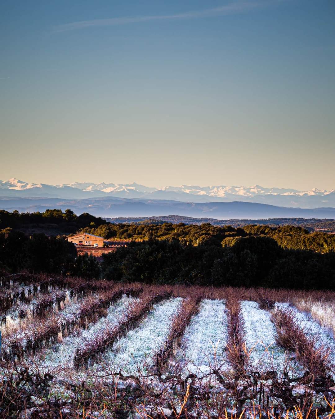 Terroir 1