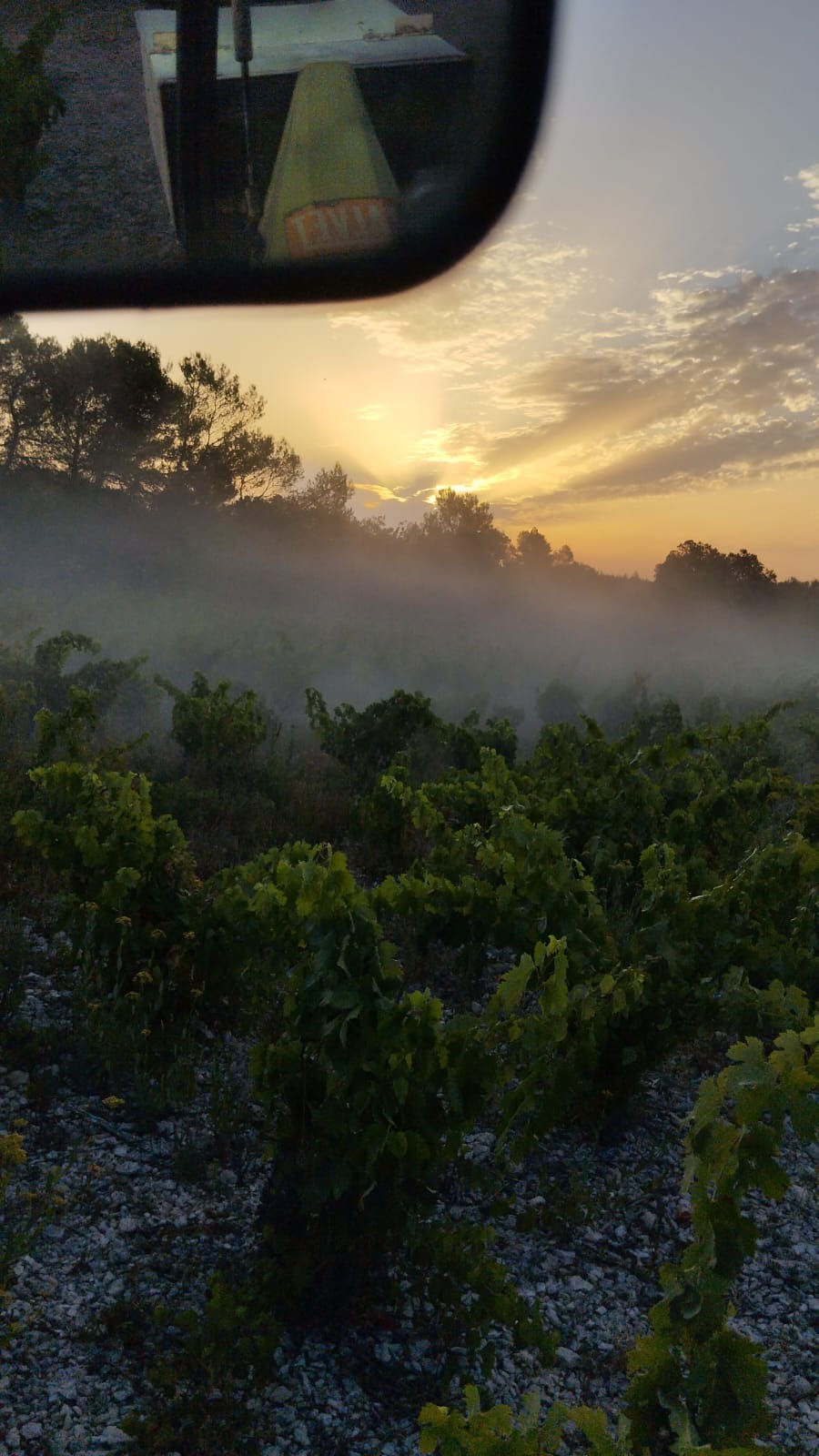 Terroir 2